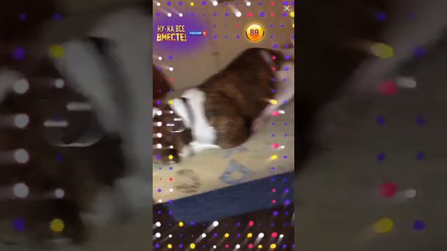 Амбуль Ника смотреть онлайн