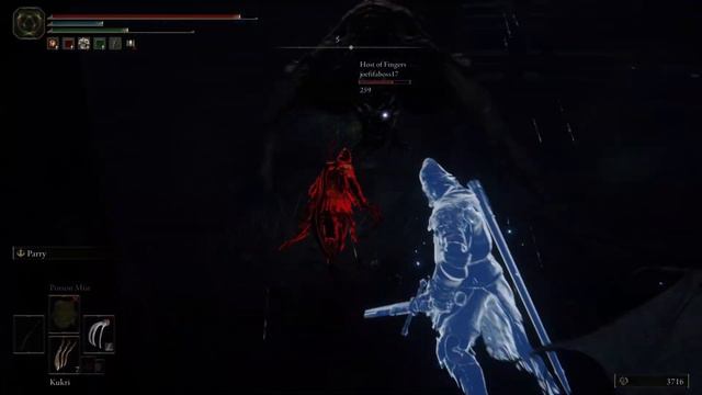ELDEN RING - Bloodhound Knight Invasions (RL 30) смотреть онлайн