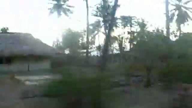 Flores _ roadtrip.avi