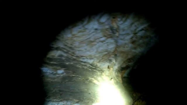 Bone Crawl Cave!! Tennessee' смотреть онлайн