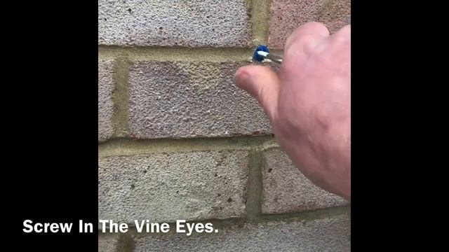 How To Support Climbers With Wire and Vine Eyes, Supporting Climbing Plants, Home DIY смотреть онлайн