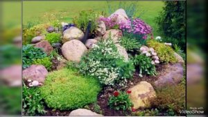 Идеи для оформления Клумб! Красивые клумбы.