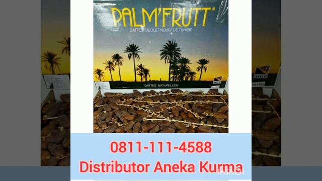 0811-111-4588 || Distributor Jual Aneka Kurma || Kurma Ajwa || Kurma Sukari || Kurma Tunisia смотреть онлайн