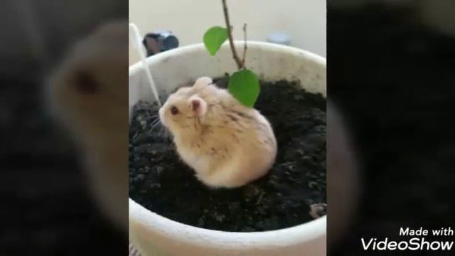 У меня в голове творится такое! смотреть онлайн