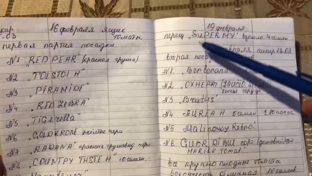 Когда сеять томаты на рассаду2020.Сроки посадки. смотреть онлайн