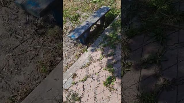 Обход территории после скоса травы и немного планов на будущее. смотреть онлайн