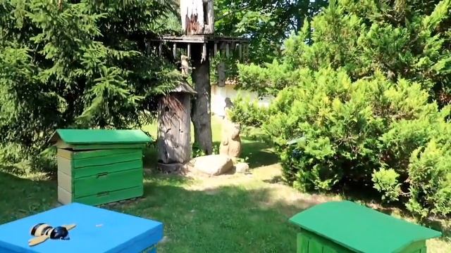 Дудутки. Рыцарский турнир. Фестиваль