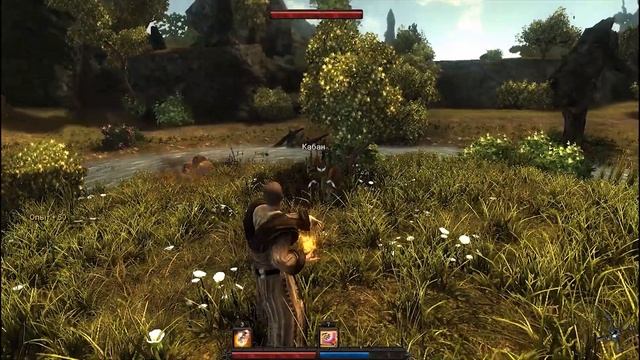 Risen / Магические кристаллы