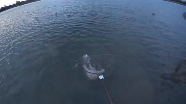 ЖЕСТЬ НА РЫБАЛКЕ! ДЯДЯ ТОЛЯ ЧУТЬ НАС НЕ СПАЛИЛ) И обловил меня с первой попытки) Вот так рыбалка))) смотреть онлайн