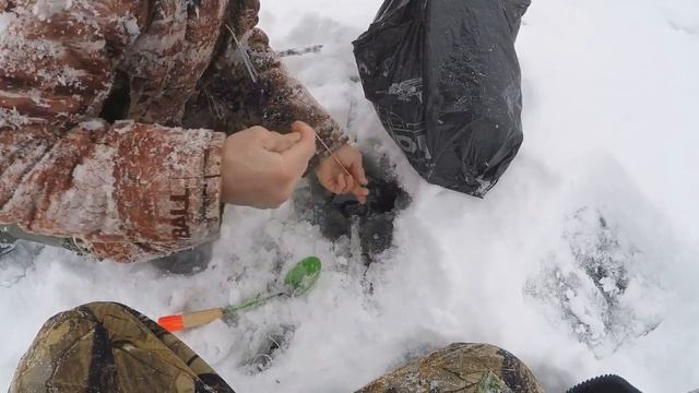 За щукой в сильный снег 8.12.2018 г. смотреть онлайн