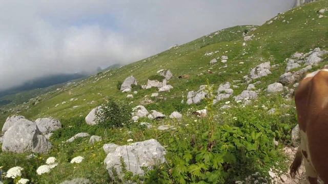Приют Фишт - Бабук-Аул, ч.1 смотреть онлайн