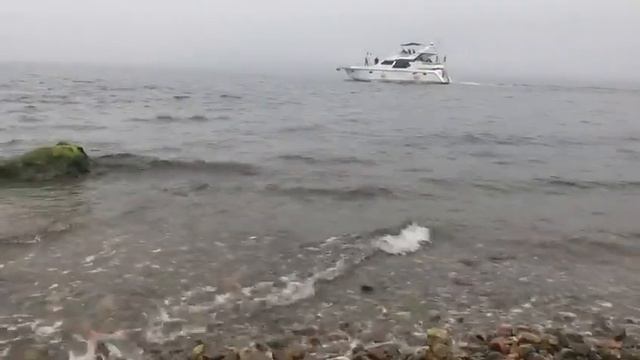 Нежные звуки Японского моря. Живая открытка. смотреть онлайн