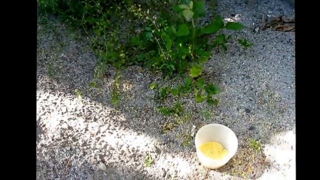 Строительная Зона