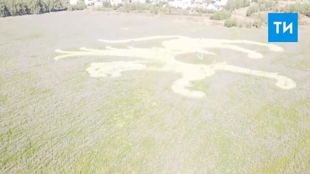 Символ Татарстана из редьки масличной смотреть онлайн