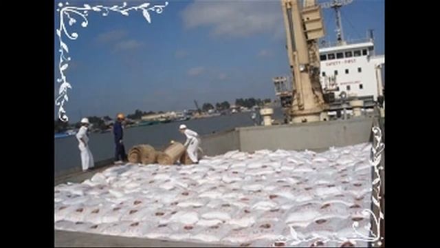 Tallying clerk supervisor services for goods vessel and container смотреть онлайн