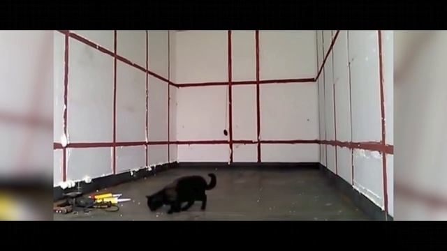 Внутренняя обшивка фургона МАЗ Зубрёнок смотреть онлайн