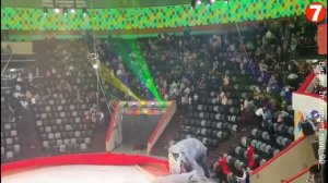 Слоны в цирке Казани взбесились и устроили драку во время представления.