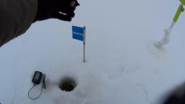 Техника ловли на балансир окуня.Чемпионат Чувашии по ловле на блесну со льда 2018г. смотреть онлайн