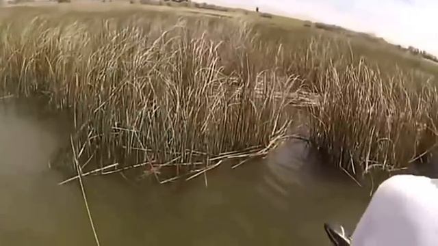 Рыбалка с Луком смотреть онлайн