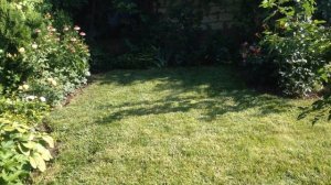 Июль в саду!!! Красивые уголки сада!!! Многолетники  в саду!!!