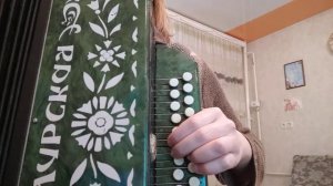 Матаня. на гармони. Цифры есть 89277382068