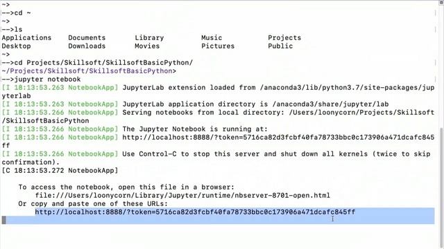 Run Jupyter notebooks on MacOS for Python смотреть онлайн