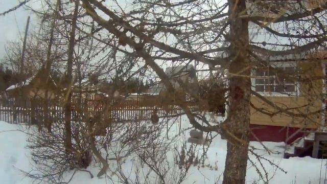 лиственница попытка №2 начало дача под Архангельском смотреть онлайн