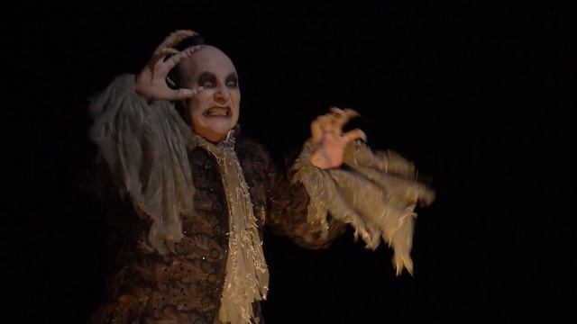 The Magic Flute – Alles fühlt der Liebe Freuden (Peter Bronder; The Royal Opera) смотреть онлайн