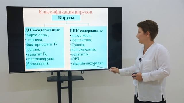 Mavzu: Вирусы. Строение и классификация смотреть онлайн