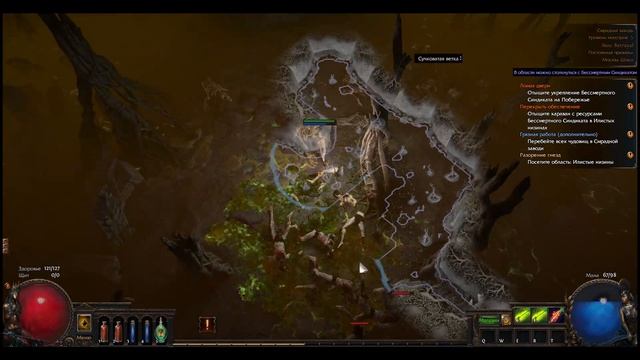 Новичок проходит Path of Exile (играю за лучницу) смотреть онлайн
