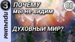 Почему мы не видим духовный мир? 3 примера.Максим Каскун