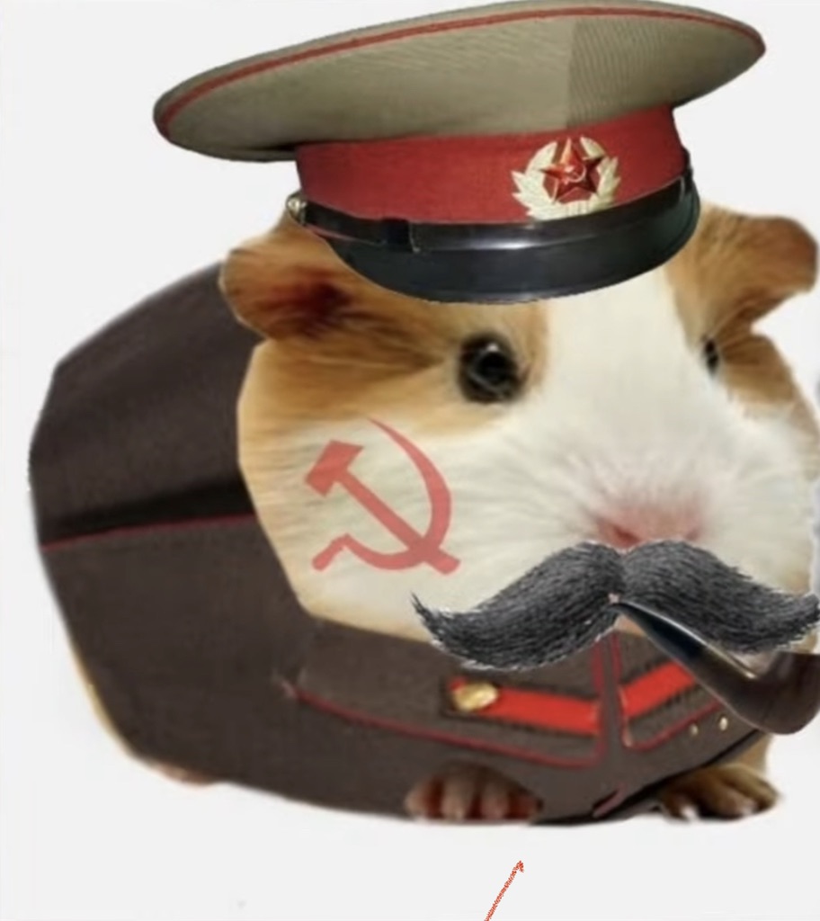 Первый стрим