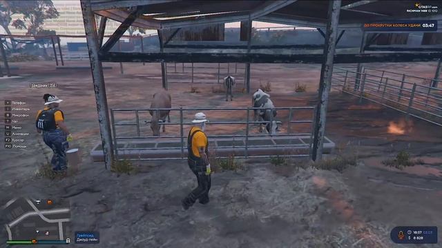 ВОЗВРАЩЕНИЕ В GTA 5 RP #2 .ТОПОЛЬ И ГРОМОВ СНОВА В ДЕЛЕ смотреть онлайн