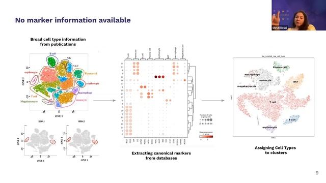 Navigating Complexities of Single Cell Curation: Raw Data to Curated Resource смотреть онлайн