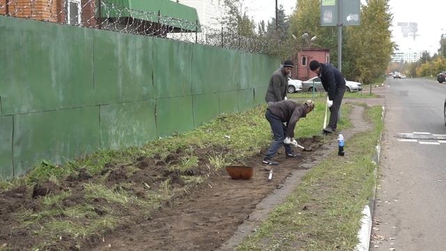 Ремонт тротуарной плитки смотреть онлайн