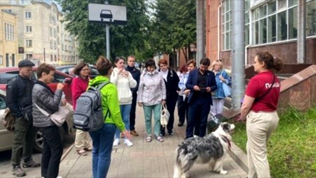 Котенка вместе с вещами выбросили на улицу. Причина вас удивит! смотреть онлайн