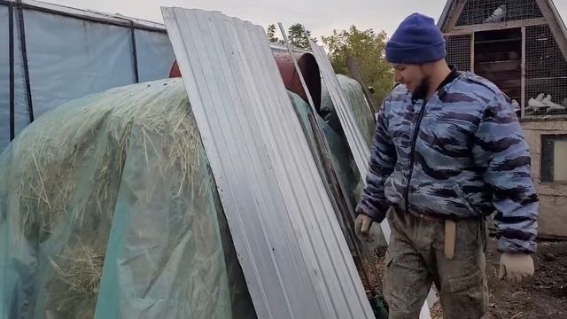 Переезд в Россию \ Пришлось из дому уйти что бы от них избавиться \ Поставили забор