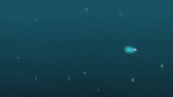 Жители морских глубин ч.1.Братья Кратт: Зов Природы. Новая серия. Канал Детишки