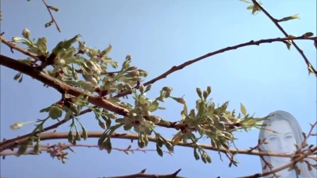 Машенька смотреть онлайн