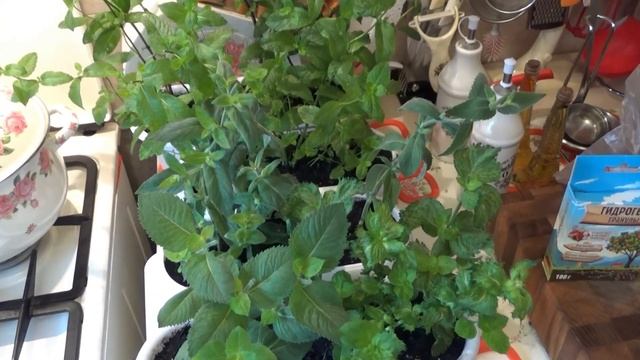 Строительные Палитры