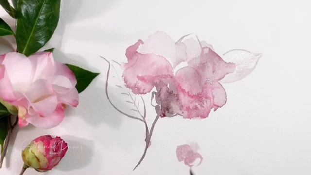 Quick watercolor sketching: a Pink Camellia flower смотреть онлайн