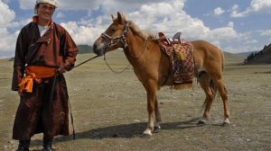 Монгольские лошади особенности породы | Коневодство | Лошади Монгольской породы