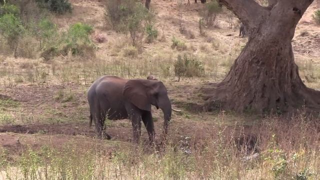 Зачем вам доля в квартире? У вас дом огромный, отдайте мне! Аудио рассказы смотреть онлайн