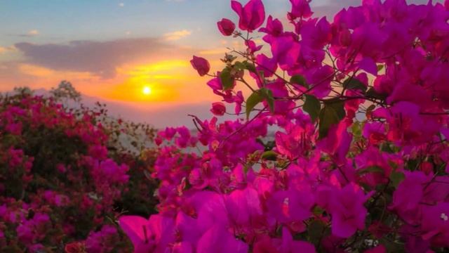 25 июня 2021 года 16 Лунный день смотреть онлайн