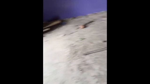 мой друг ходит по заброшен 2 часть смотреть онлайн