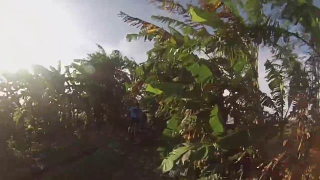 1st ride IPAD 2015 смотреть онлайн