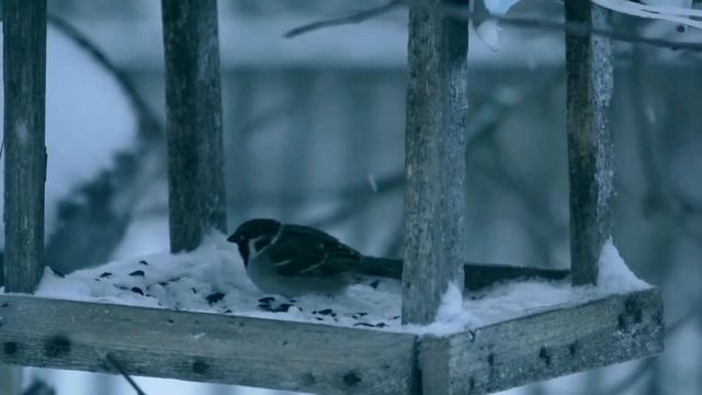 Тяжёлые времена. Первая метель смотреть онлайн