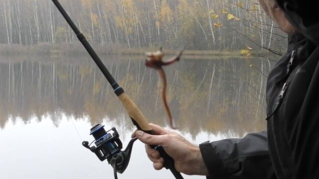 Пьяная Рыбалка на Снасти Москвичей! Что ловится на Розовую Закидушку, снасть убийца карася! смотреть онлайн