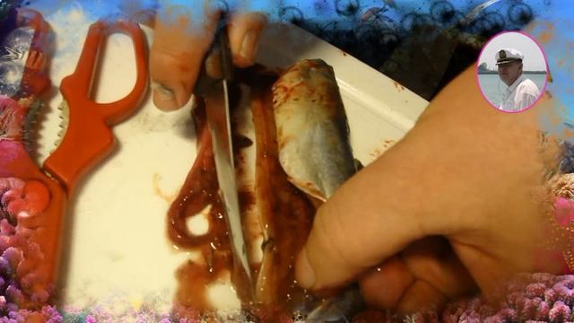 Рыба соленая Сайра, скумбрия эта рыба соленая дома вкусна. Petr de Cril'on смотреть онлайн