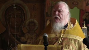 Протоиерей Димитрий Смирнов. Проповедь на Прощеное воскресенье ( 13 марта 2016 года)